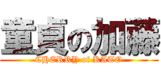 童貞の加藤 (CHERRY of KATO)