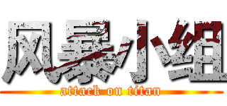 风暴小组 (attack on titan)