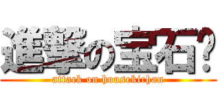 進撃の宝石酱 (attack on housekichan)