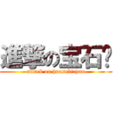 進撃の宝石酱 (attack on housekichan)