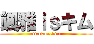 颯雅ｉｓキム (attack on titan)