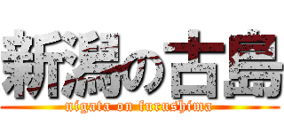 新潟の古島 (nigata on furushima)