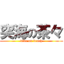 突海の茶々 (dive on beach)