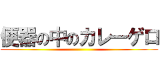 便器の中のカレーゲロ ()