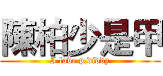 陳柏少是甲 (I love p.diddy)