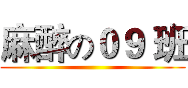 麻醉の０９ 班 ()