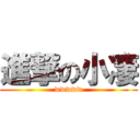 進撃の小凄 (wwwww)