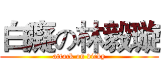 白癡の林毅璇 (attack on vicky)