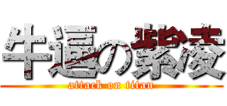 牛逼の紫凌 (attack on titan)