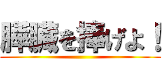 膵臓を捧げよ！ ()