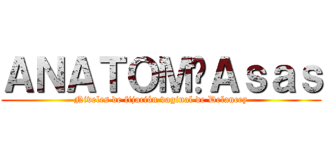 ＡＮＡＴＯＭÍＡｓａｓ (Niveles de fijación vaginal de Delancey)