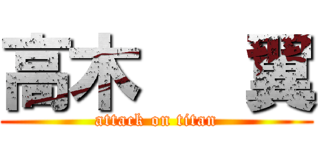 高木   翼 (attack on titan)