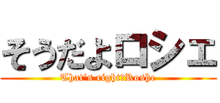 そうだよロシェ (That\'s right　Roshe)