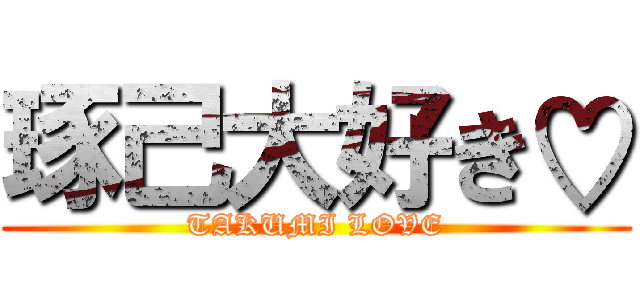 琢己大好き♡ (TAKUMI LOVE)