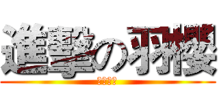 進擊の羽櫻 (羽櫻專頁)