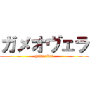ガメオヴェラ (gameover)