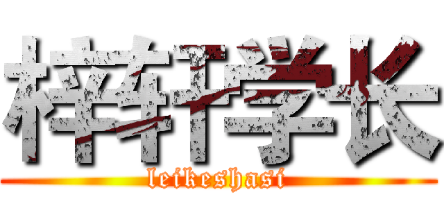 梓轩学长 (leikeshasi)