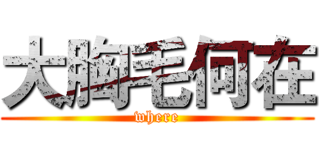 大胸毛何在 (where)