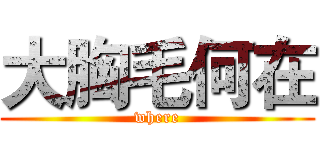 大胸毛何在 (where)