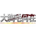 大胸毛何在 (where)