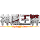 神風王牌 (Cycle_Joker)