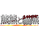 熊熊と貓熊 (笨蛋兩人世界)