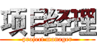 项目经理 (project manager)
