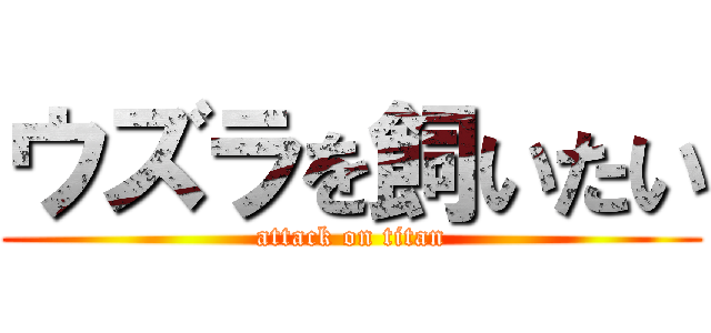 ウズラを飼いたい (attack on titan)