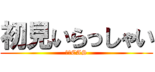 初見いらっしゃい (雑談CAS)