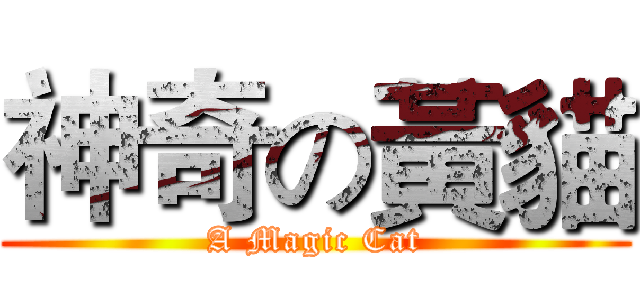 神奇の黃貓 (A Magic Cat)