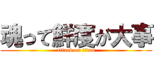 魂って鮮度が大事 (attack on titan)