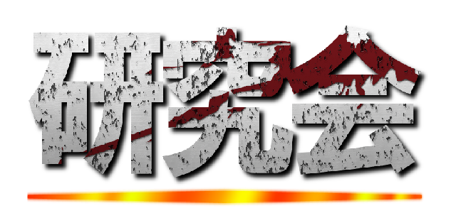 研究会 ()