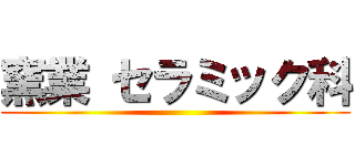 窯業 セラミック科 ()