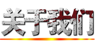 关于我们 ()