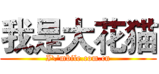 我是大花猫 (I\'mbile.com.cn)