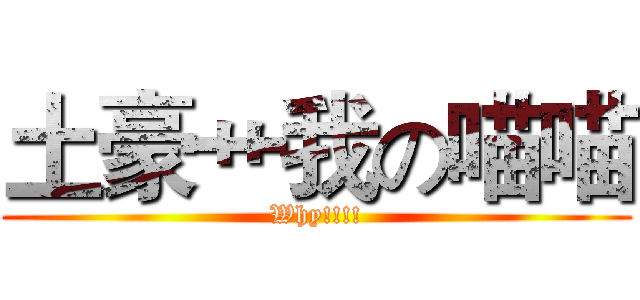 土豪艹我の喵喵 (Why!!!!)