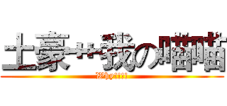 土豪艹我の喵喵 (Why!!!!)