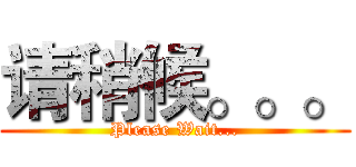 请稍候。。。 (Please Wait...)