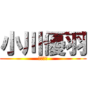 小川優羽 (佳乙の妹)