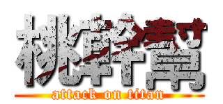 桃幹幫 (attack on titan)