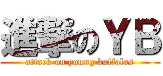 進撃のＹＢ (attack on young buffalos)