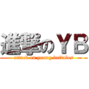 進撃のＹＢ (attack on young buffalos)