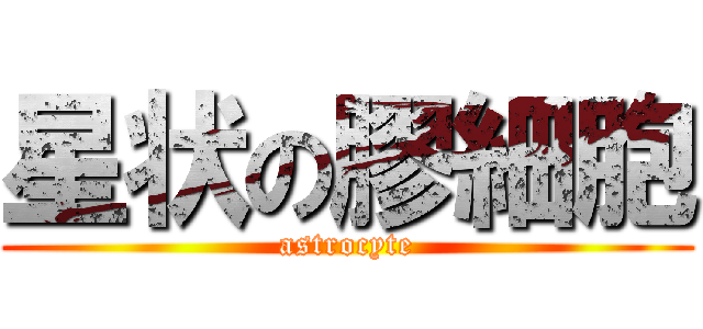 星状の膠細胞 (astrocyte)