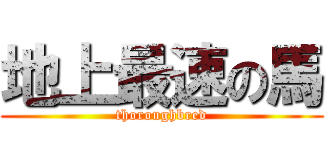 地上最速の馬 (thoroughbred)