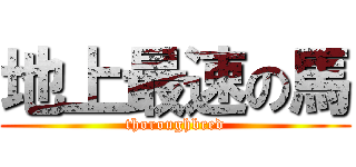 地上最速の馬 (thoroughbred)