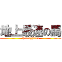 地上最速の馬 (thoroughbred)