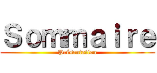 Ｓｏｍｍａｉｒｅ (Présentation)
