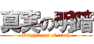 真実の明暗 (Brightness of truth)