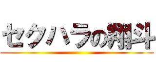 セクハラの翔斗 ()