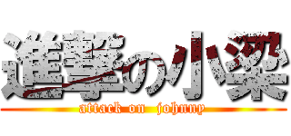 進撃の小梁 (attack on  johnny)